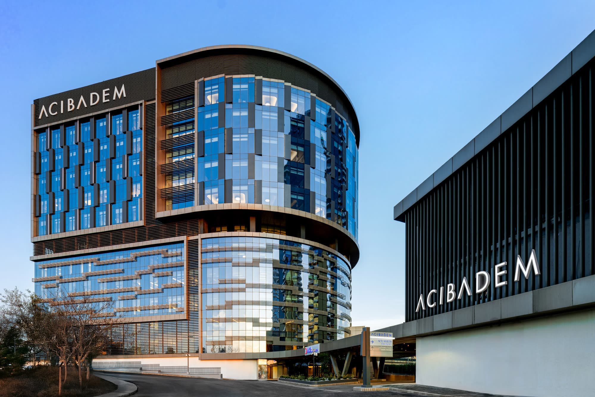 Acıbadem Healthcare Group — Advanced Limb Reconstruction